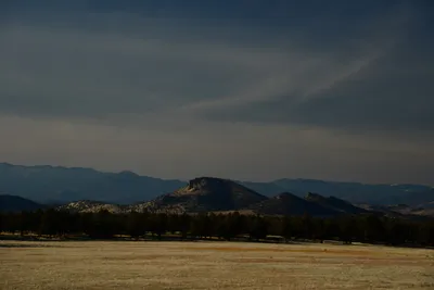 DSC_2998 (Large).JPG